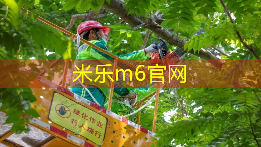 尤尼克斯网球拍2020