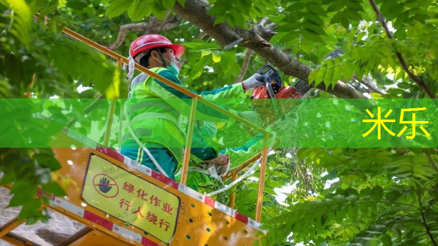 尤尼克斯网球拍测评98
