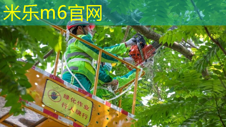 网球拍小德复刻版