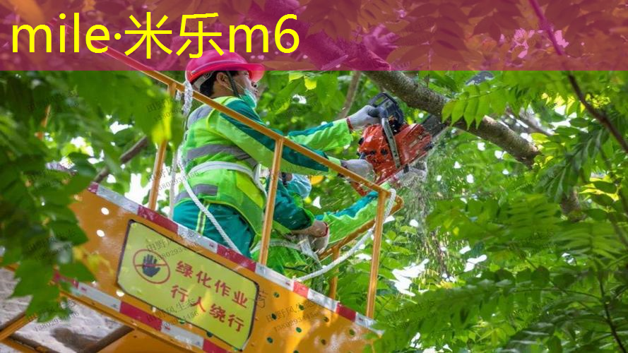 mile·米乐m6：网球拍3号柄和4号柄