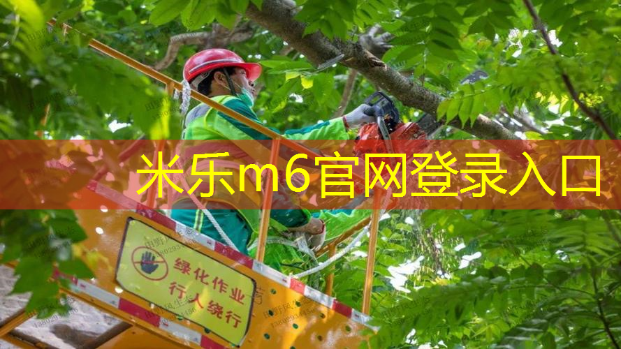 mile米乐m6官网：网球拍材质差别在哪查