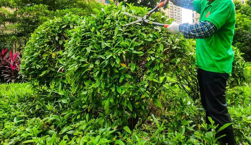 米乐m6官网：网球拍喷漆台怎么用的啊