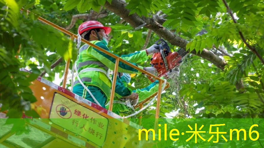 mile·米乐m6：室内健身操有氧还是无氧