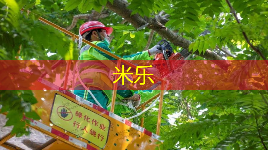 mile·米乐m6：室内健身器展厅