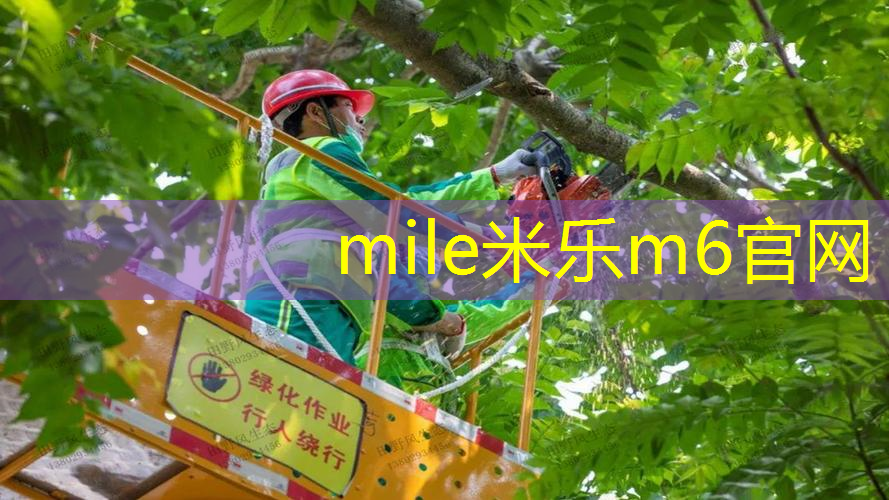 米乐m6官网登录入口：让孩子流汗也笑出声！儿童球木头滑梯为孩子带来健康快乐的玩耍体验！
