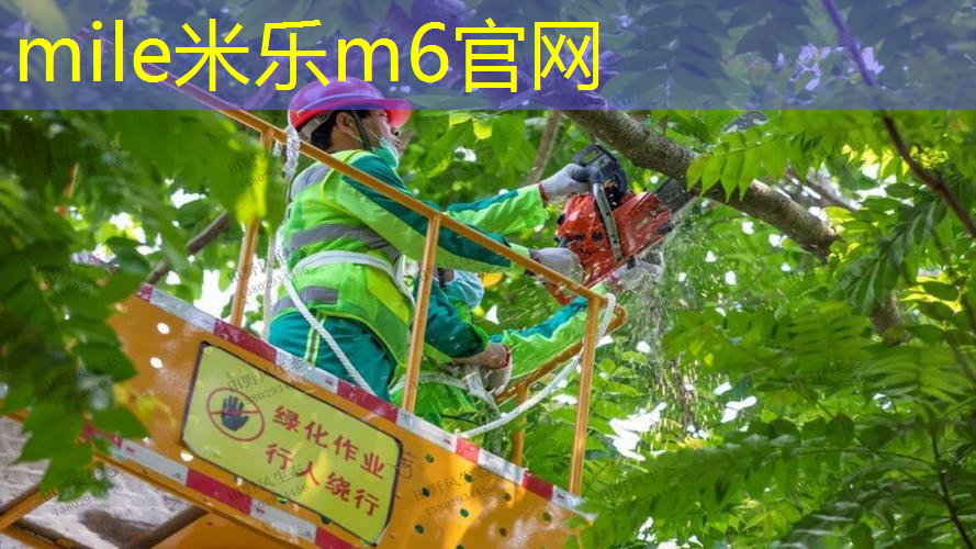 mile·米乐m6：桃源零点健身房室内