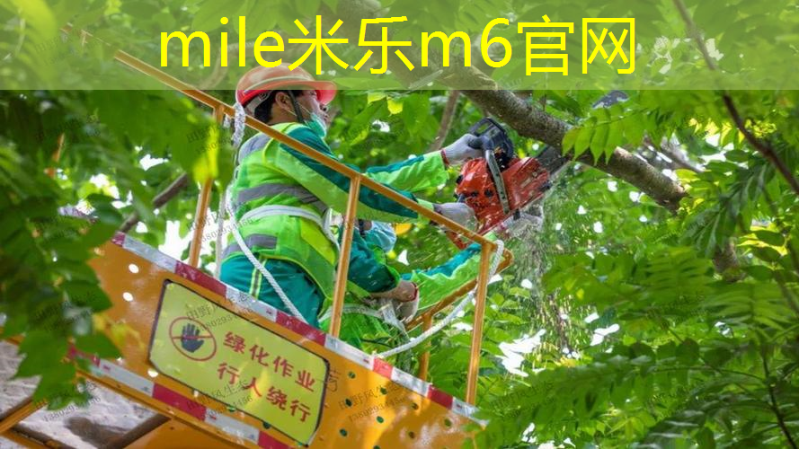 选择最佳助攻者：“篮球架大梁”帮你找到击败对手的突破口！