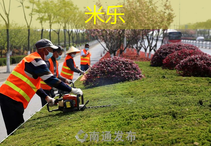 mile·米乐m6：可收缩的乒乓球台