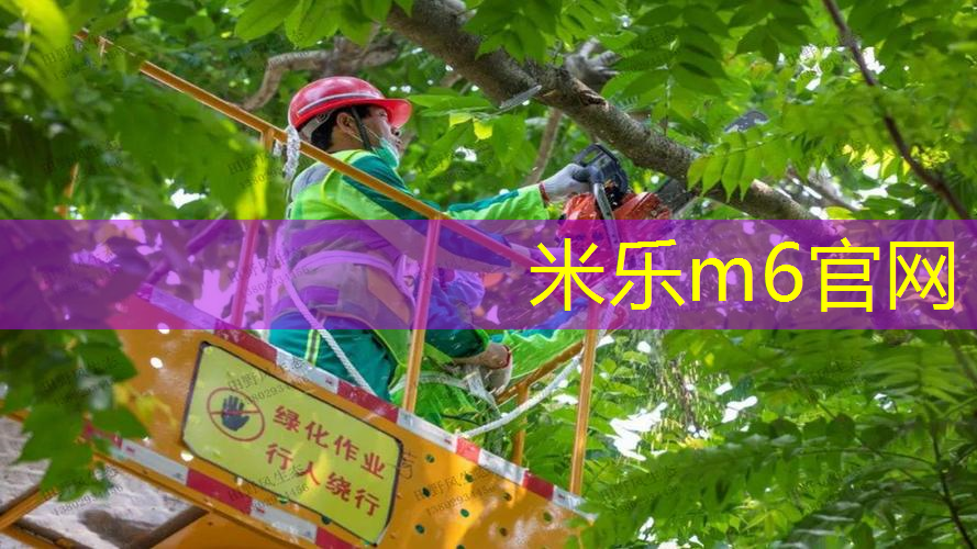 mile米乐m6官网：室内健身操燃脂减肥50分钟