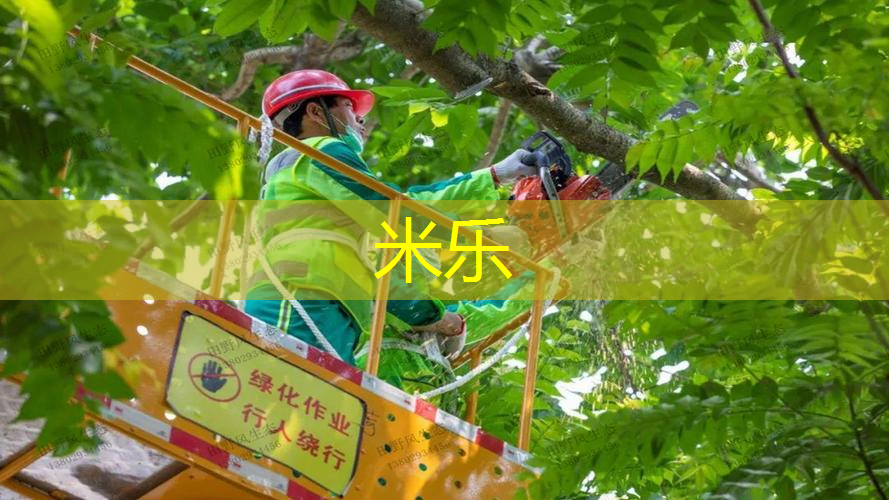 mile米乐m6官网：篮球体育生要练什么器材