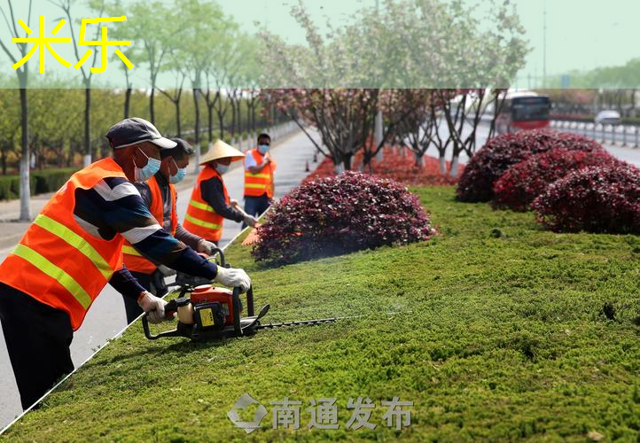 新添寨乒乓球台
