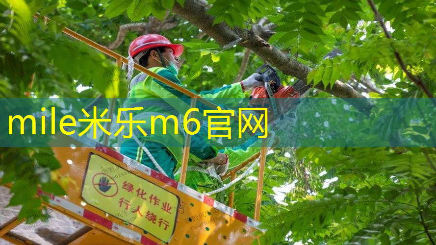 米乐m6官网：专家认可！塑胶跑道材料新国标或引领行业发展！