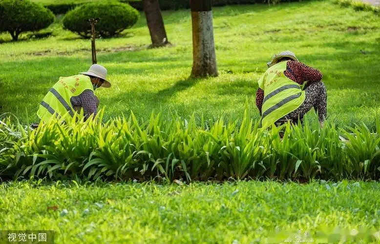 米乐m6官网登录入口：乒乓球台上的线