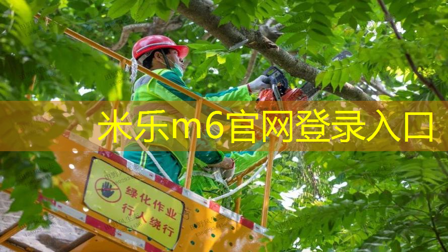 体育健身器材篮球场