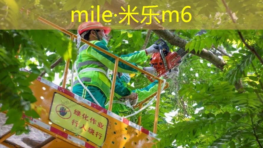 天然健身房室内