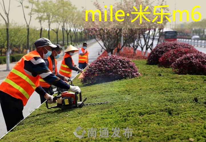 米乐m6官网：乒乓球台下球需要拉升么
