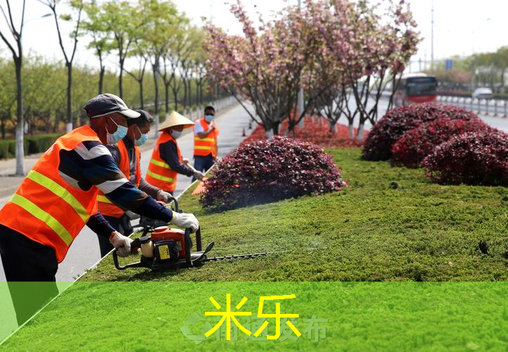 mile米乐m6官网：乒乓球台面是哑光好吗