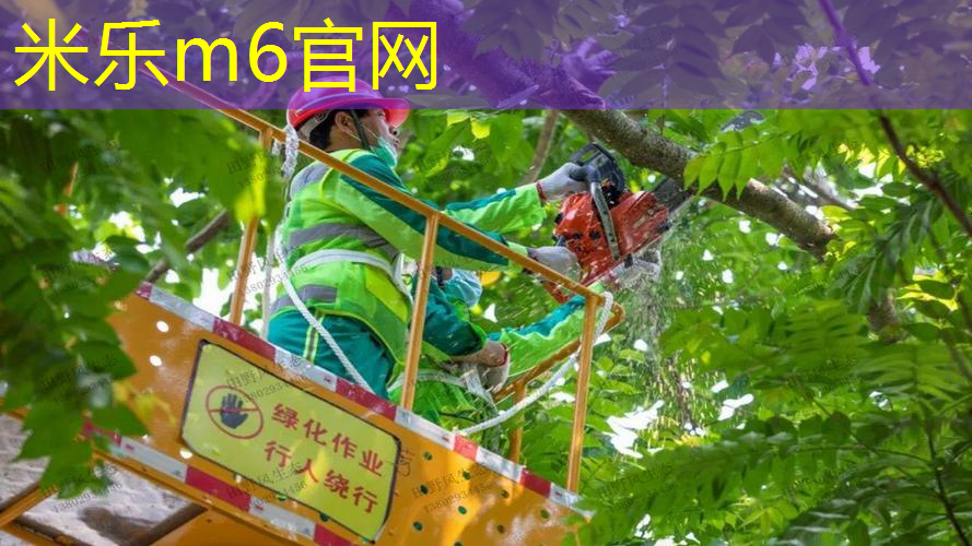米乐m6官网：女孩子室内健身房