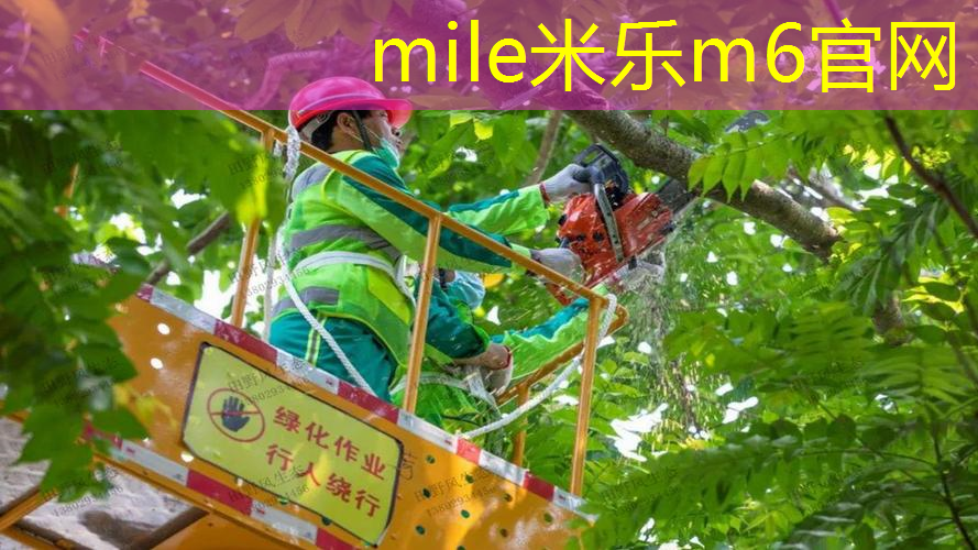 尤尼克斯网球拍测评98