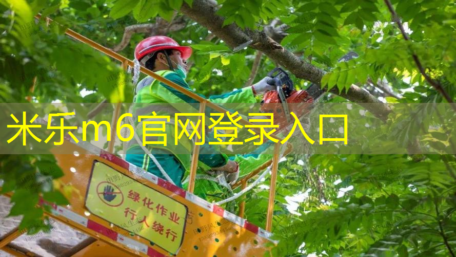网球拍小德复刻版