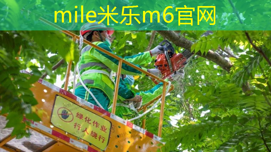 网球拍3号柄和4号柄