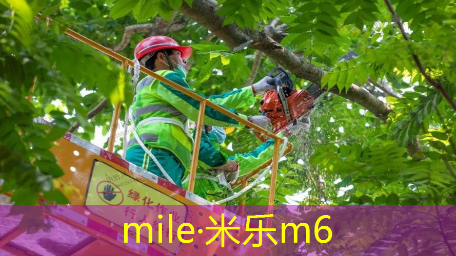 网球拍戴多少寸的好用呢