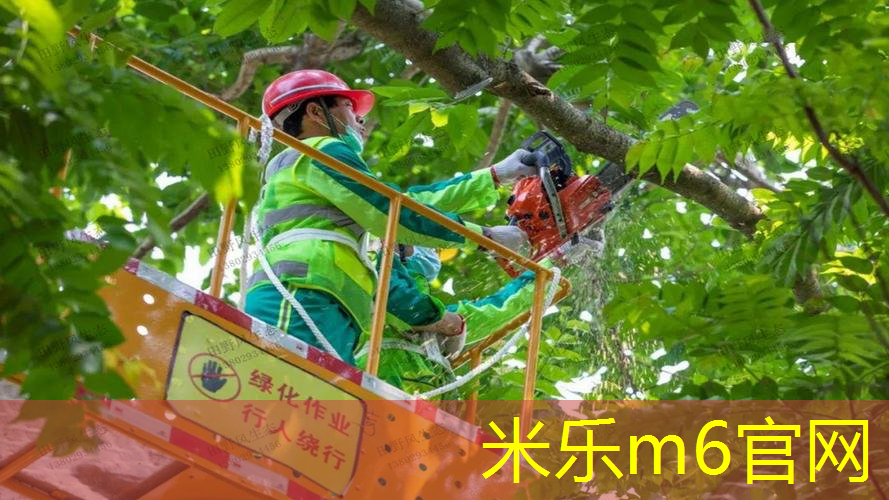 室内健身操有氧还是无氧