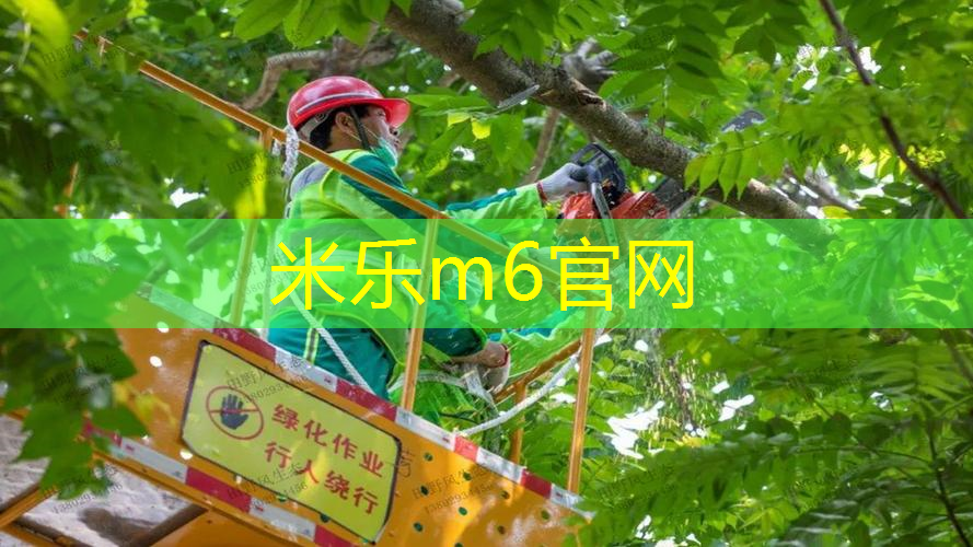 让孩子流汗也笑出声！儿童球木头滑梯为孩子带来健康快乐的玩耍体验！