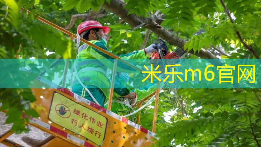 桃源零点健身房室内