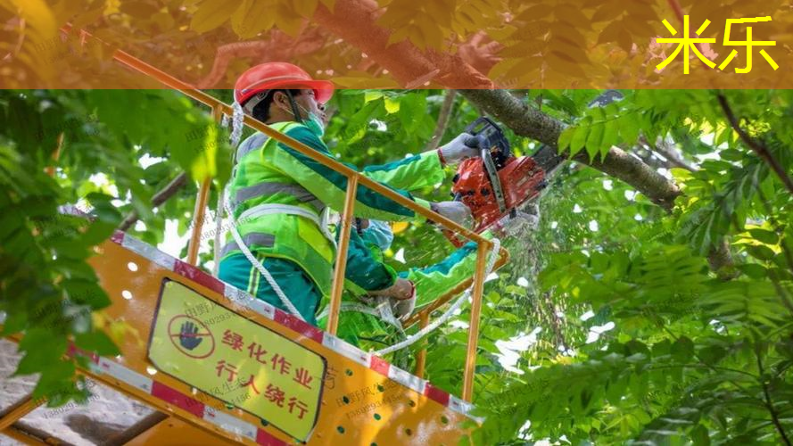 选择最佳助攻者：“篮球架大梁”帮你找到击败对手的突破口！
