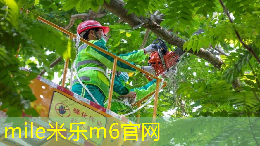 篮球体育生要练什么器材