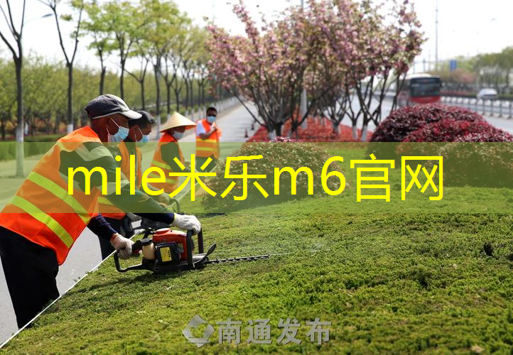 新添寨乒乓球台