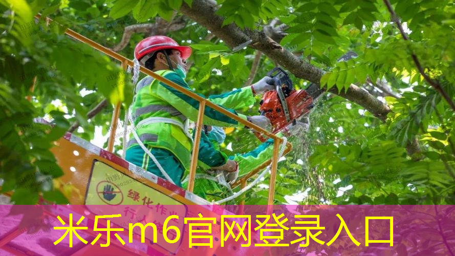 专家认可！塑胶跑道材料新国标或引领行业发展！