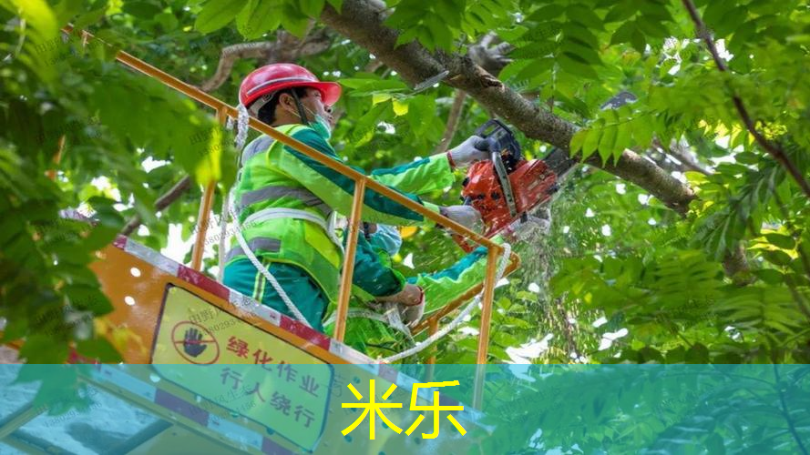 体育健身器材篮球场