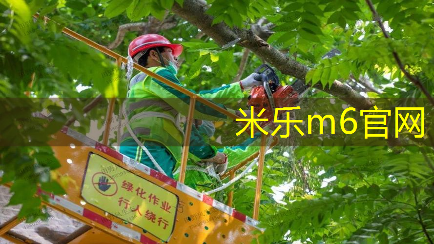 天然健身房室内
