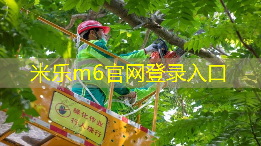 乒乓球台多贵
