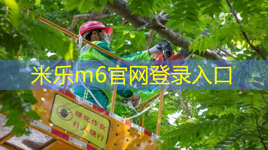 女孩子室内健身房